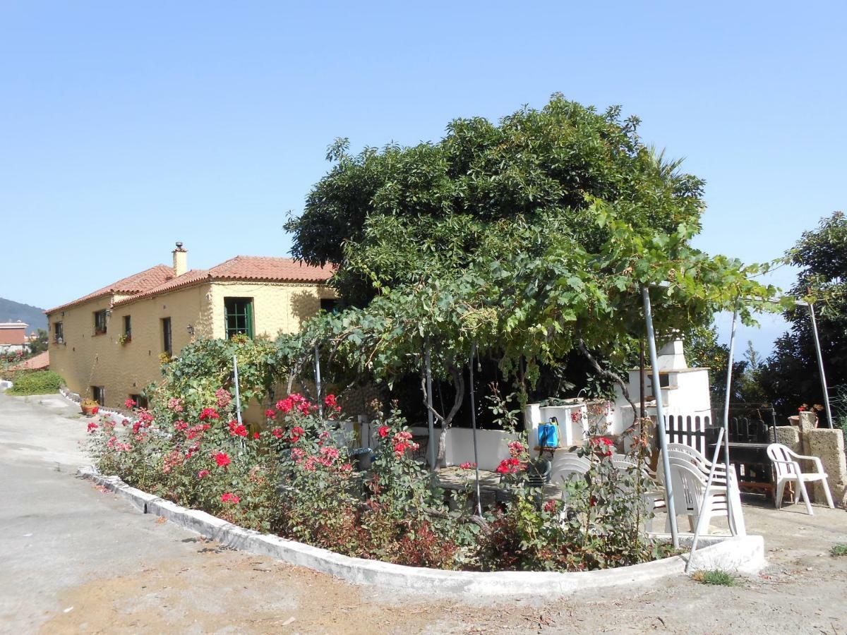 Casitas Las Uvas Y Las Vinas Villa Los Realejos Exterior photo